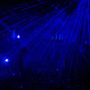 Meet your Posher, Susie